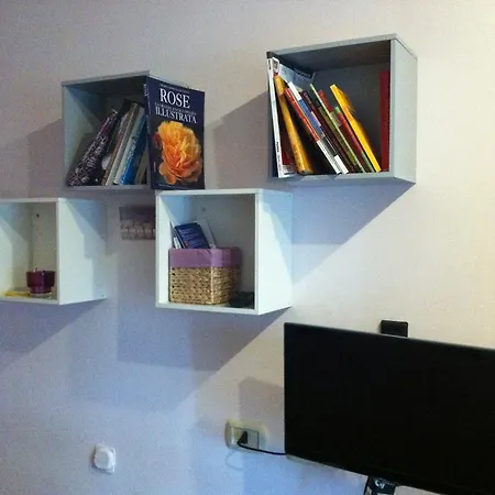 Orchidea Cir0347at00249 Parme