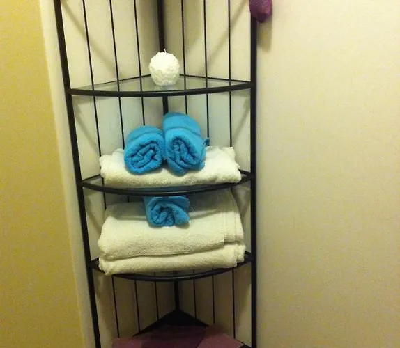 Orchidea Cir0347at00249 Parme