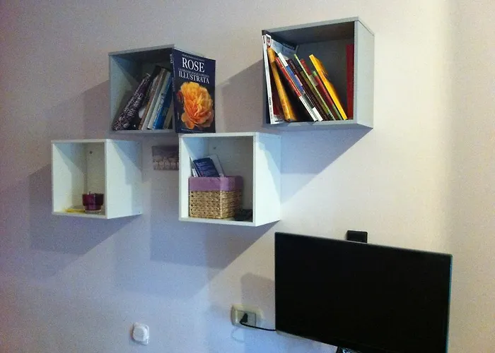 Orchidea Cir0347at00249 Parme