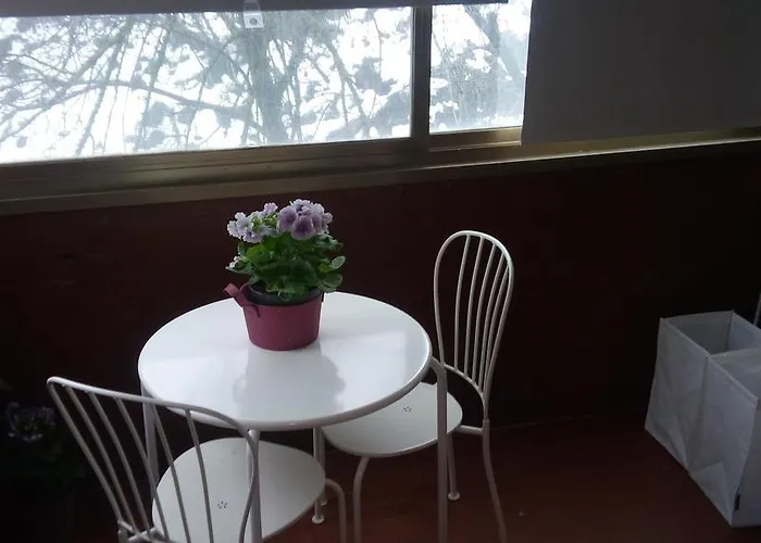 Orchidea Cir0347at00249 Parme