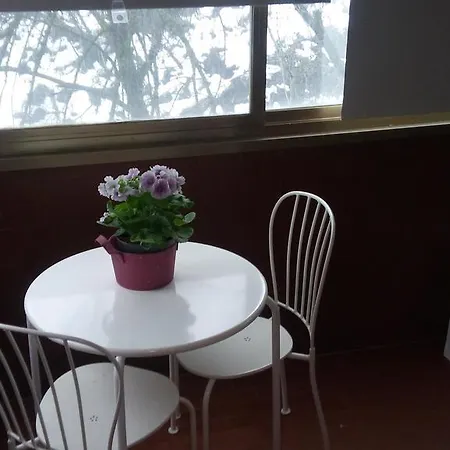 Orchidea Cir0347at00249 Parma