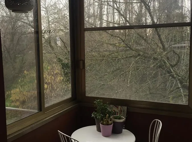 Orchidea Cir0347at00249 *